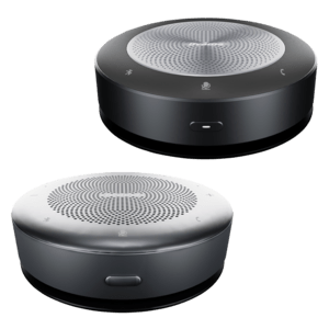 iiyama Bluetooth-Lautsprecher L